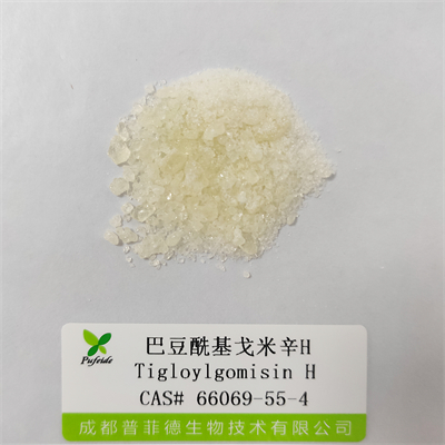巴豆?；昝仔罤|66069-55-4