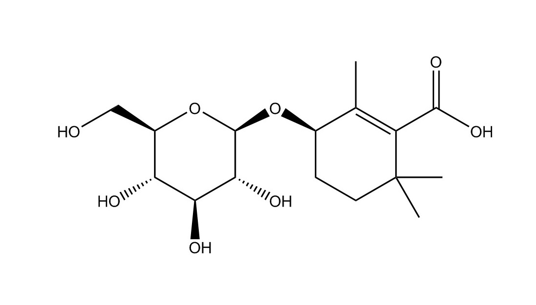 地黃苦苷|104056-82-8