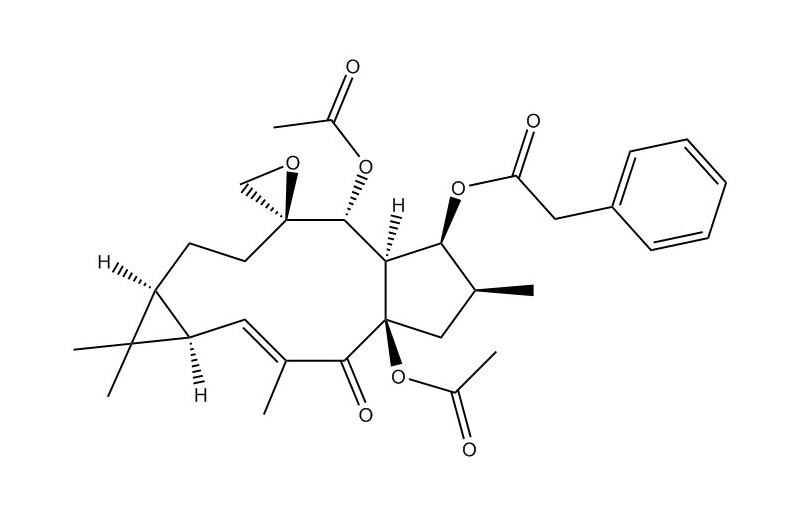 大戟因子L1|76376-43-7