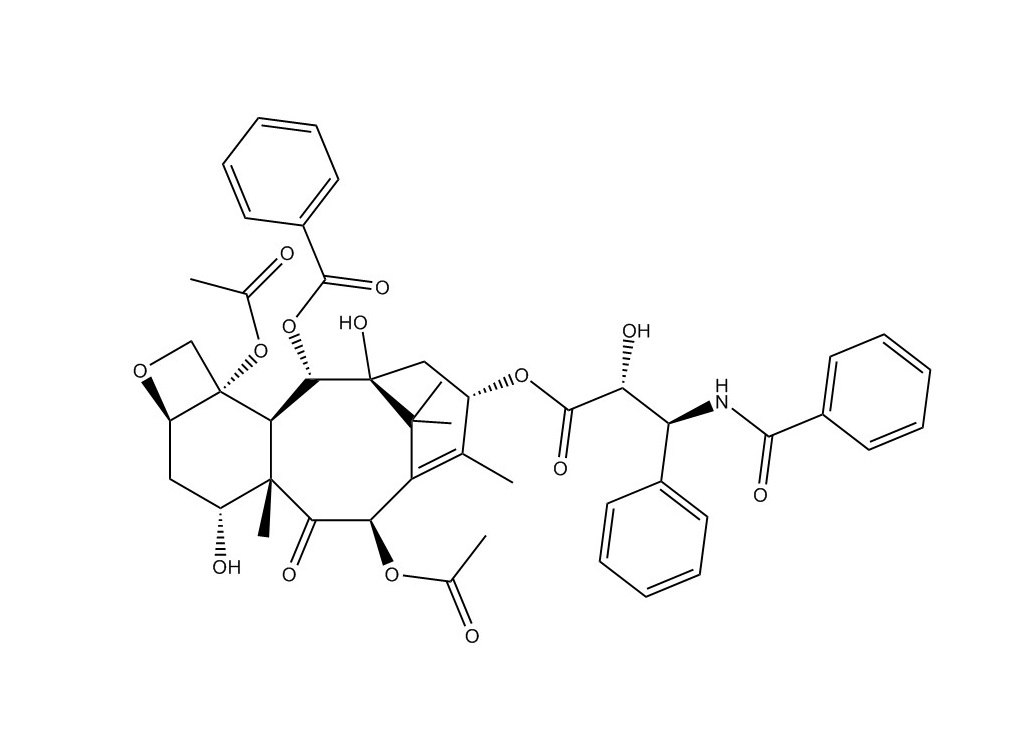 7-表紫杉醇|105454-04-4