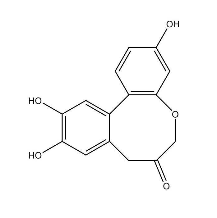 原蘇木素A|102036-28-2