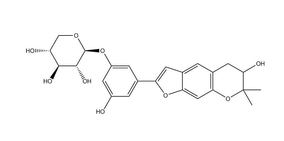桑皮苷C|102841-43-0