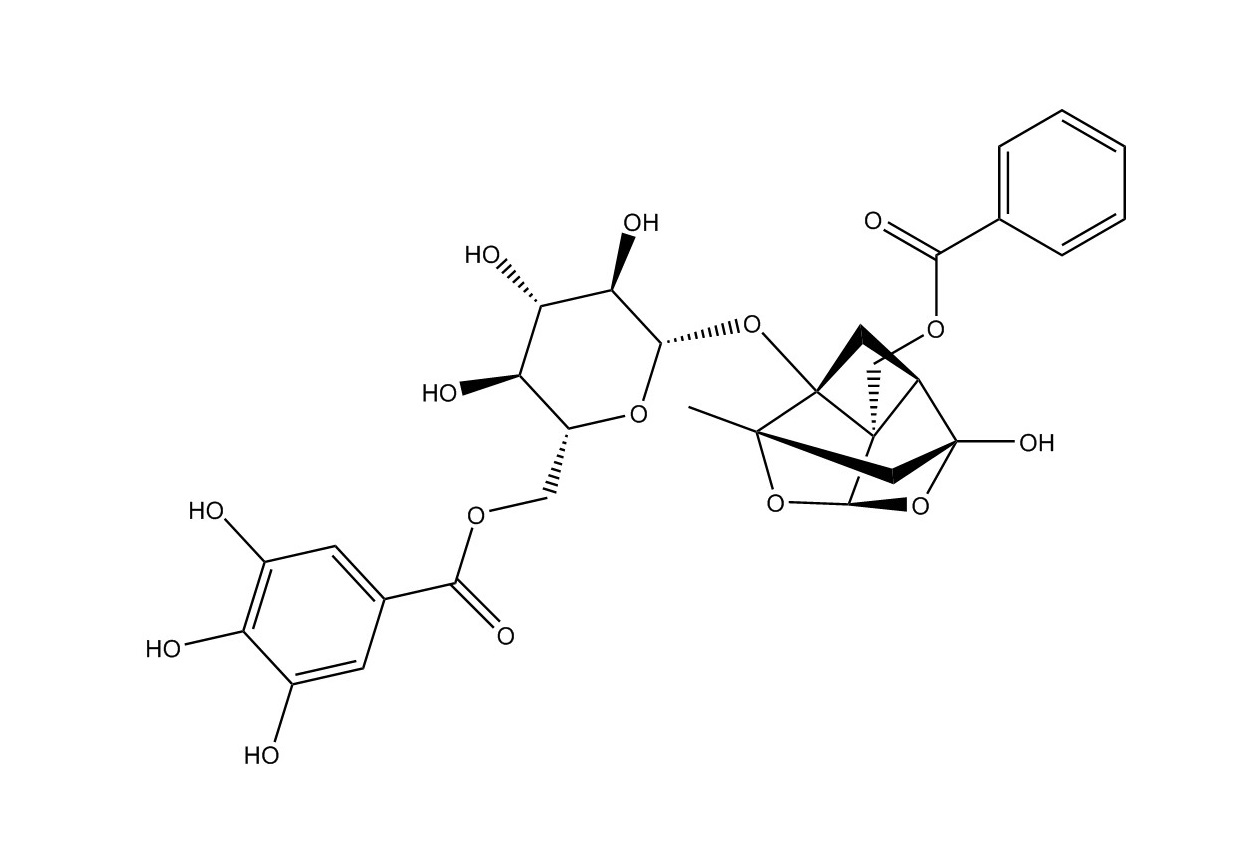 沒食子酰芍藥苷|122965-41-7