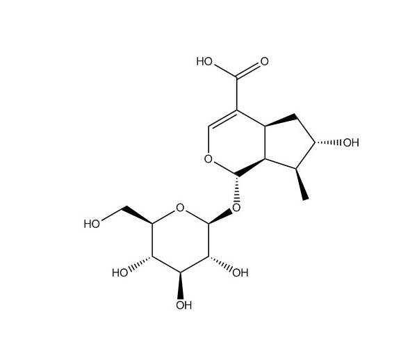 8-表馬錢子酸|82509-41-9