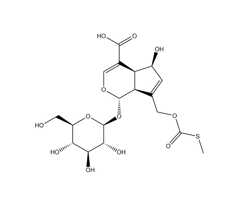 雞矢藤苷酸|18842-98-3