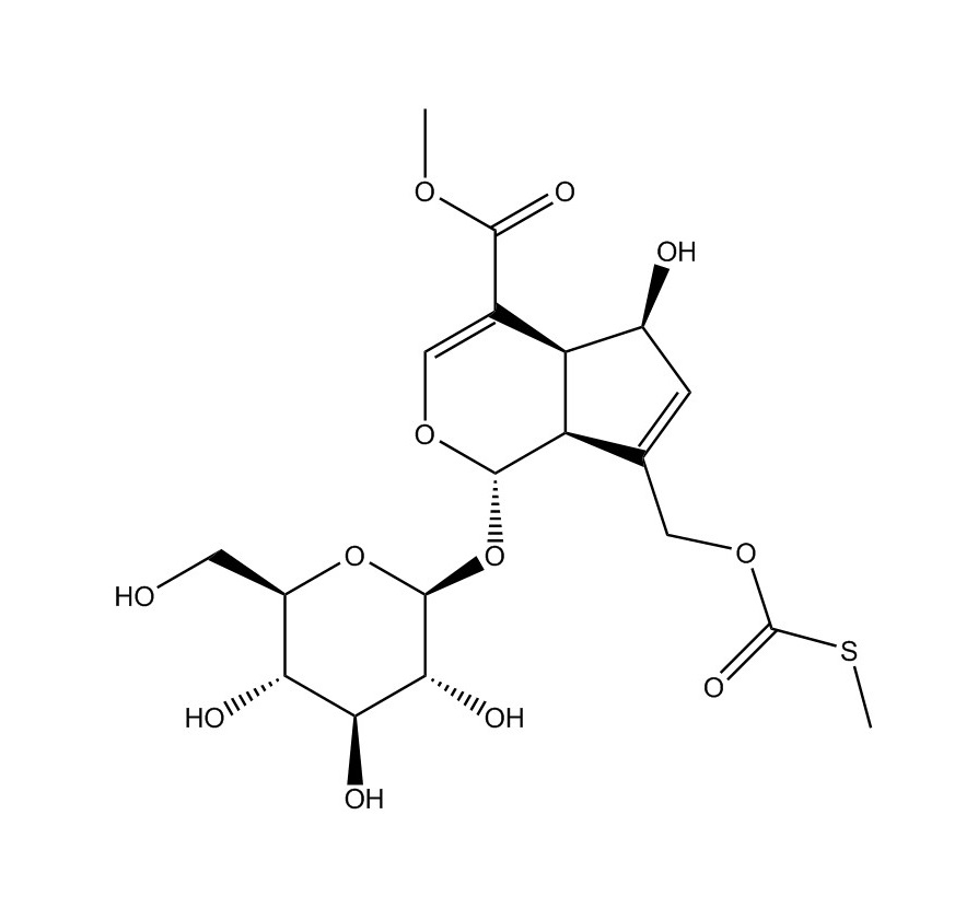 雞矢藤酸甲酯|122413-01-8