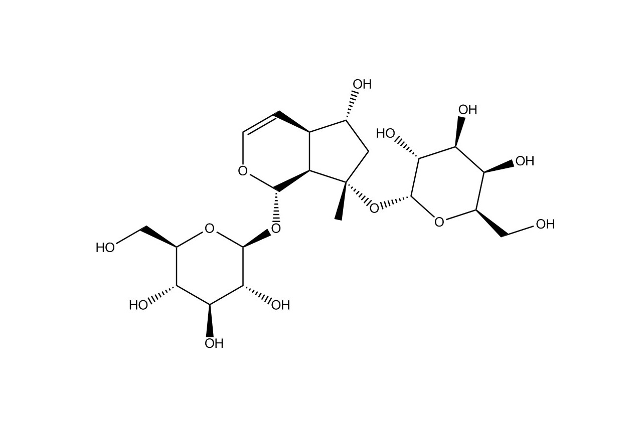 地黃苷C|81720-07-2